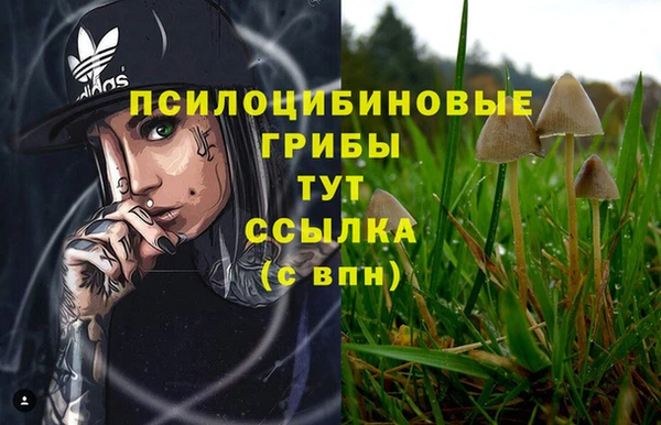 кокаин Арсеньев