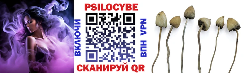 купить наркотики сайты  Семёнов  Псилоцибиновые грибы Psilocybine cubensis 